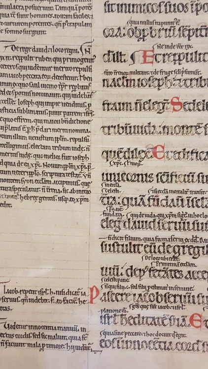 Ms. Coll. 591 Folder 31 -Glossed psalter leafSometimes what we have is only a fragment!This is a lea