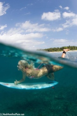 surfing-girls:  Surf Girl Surfing Girls Twitter