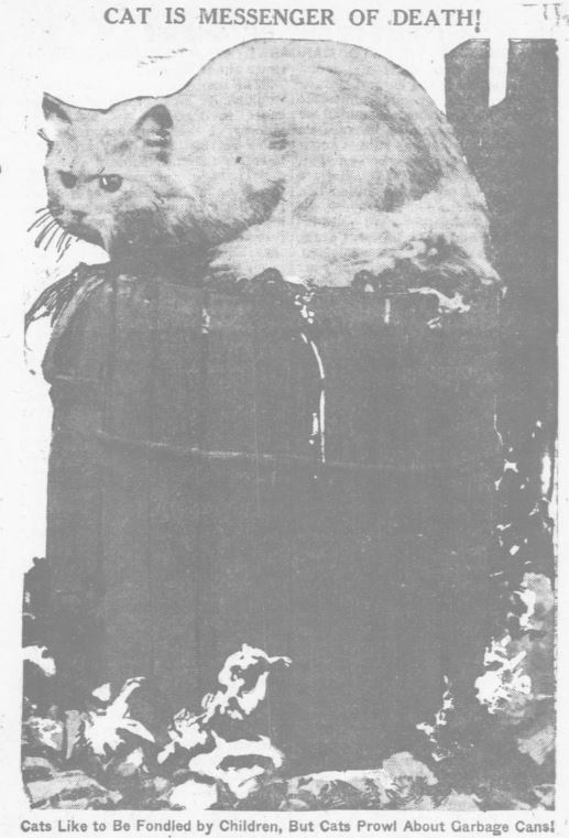 yesterdaysprint:
“CAT IS MESSENGER OF DEATH!
Cats likely to be fondled by children, but cats prowl about garbage cans!
”