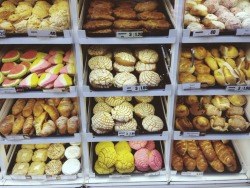  so much pan dulce porn  Conchas are my life!