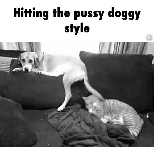 gorknickfuzzybutt:   😂😂😂🤣🤣🤣😉😉😉😉   Hahahaha