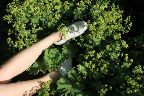 jettehoop: my shoes with flowers