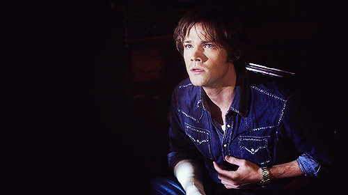 Porn Pics lucifersaam:  SAM WINCHESTER MEME: ♚ favorite