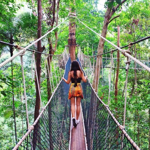 malivibes:  tropical xx 