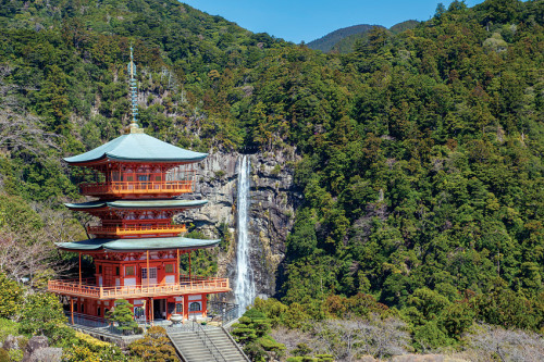 coolthingoftheday: Kumano Kodō is a series of pilgrimage routes through Japan’s largest p