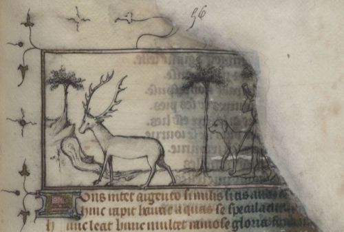 historyarchaeologyartefacts: Medieval manuscript sketch, about 14th century [1471 x 990] SWITCH TO F