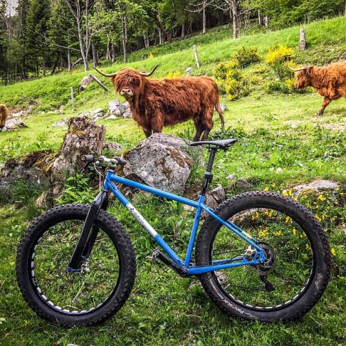 egrk: Highland#enduro #edelbikes #enduromtb #ride #trip #travel #trail #iphoneonly #iphone #photogra