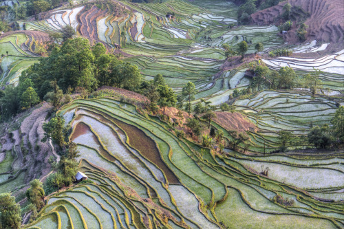 Chaluntorn Preeyasombat, Yuanyang, Yunnan, ChinaTaken before sunset.