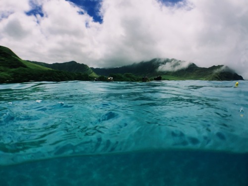 oceandwell:  Keep your head above water, and out of the clouds.  ❁❁ Calm and relaxing jungle blog ❁❁
