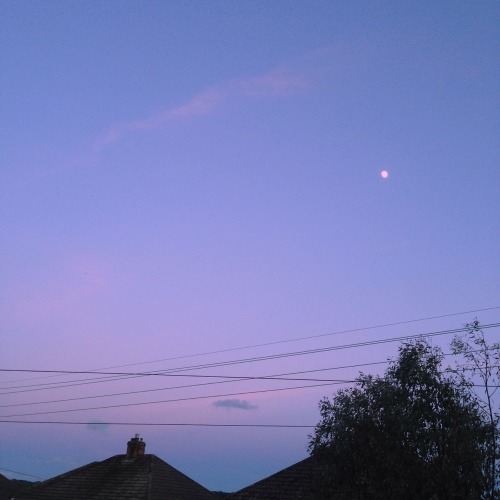 lilac sky