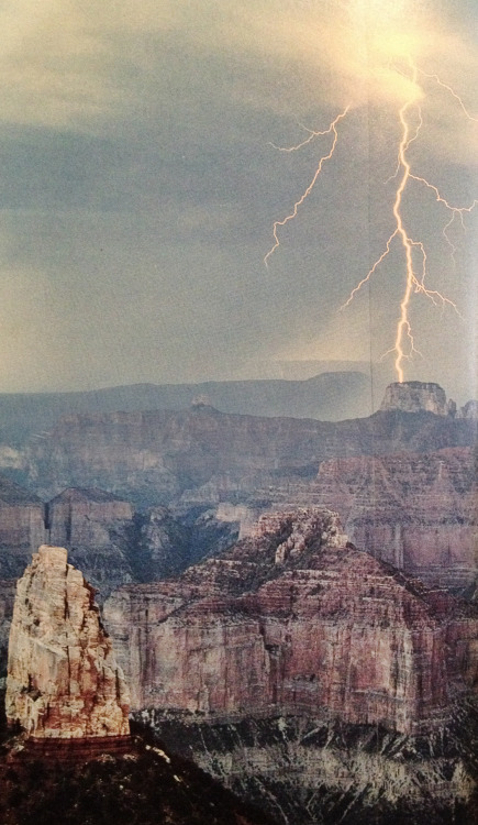 justenoughisplenty:Lightning dances above the North Rim of the Grand Canyon. A mile below curls the 