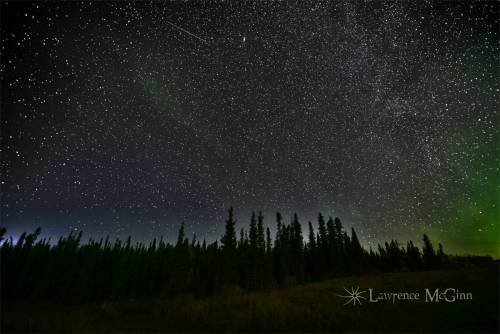 Stars on the Alaska Highway. Bucking Horse, BC [1600x1068] [OC]