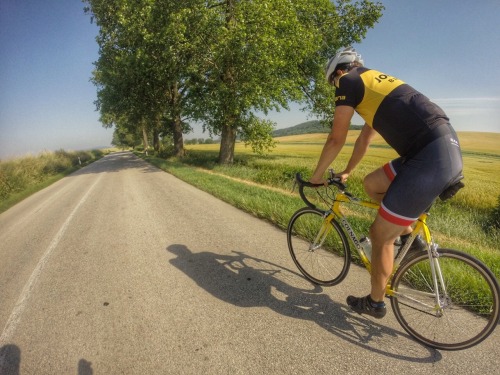 redmeansg0: Summer colors everywhere! Nice ride with these two!
