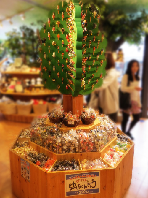 heartlessprincess01:Studio Ghibli Store at Asakusa3kgamezOI KAREN