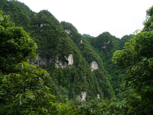 Emei Shan by Niall Corbet on Flickr.