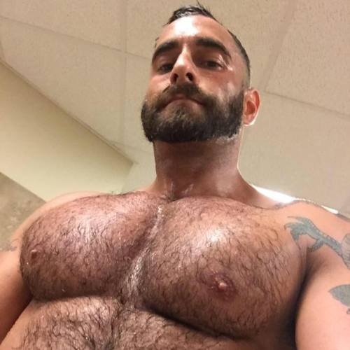 oofahpapa:  manlymuscle:  Bearded, hairy, inked, GOD   http://oofahpapa.tumblr.com/archive