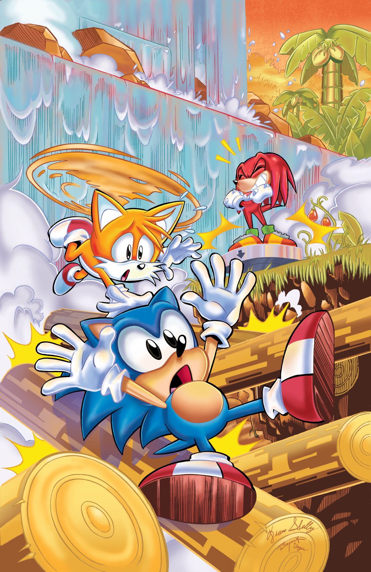 Sonic The Hedgeblog: Photo