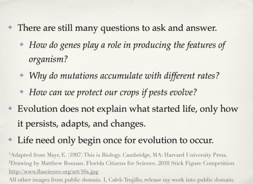 molecularlifesciences: Top 5 misconceptions about evolution: A guide to demystify the foundation of 