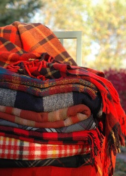 cozyinautumn:  Everything Autumn Plaid 🍂🍁