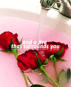 adoringlana:  Lana Del Rey - Honeymoon