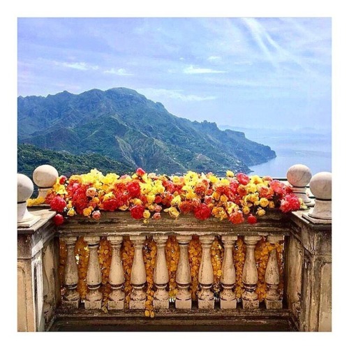 I could get use to this view anytime! (#rp @thcartierrug) . . . #view #mountains #flowers #balcony #