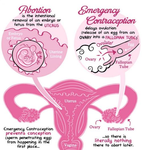 b3hr:Just a little bit of side information also: EC will not work if you are already ovulating! Be s