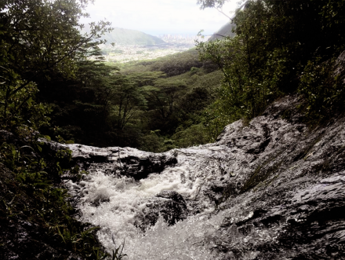 laurenjphotography: @laurenjauregui: BTW none of those pictures have a filter on them…nature 