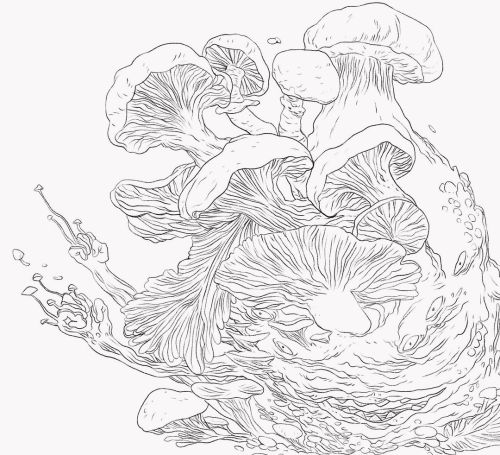 Inspired by mushrooms. Going to colour it next. -#ipadart #clipstudiopaint #illustration #illustra