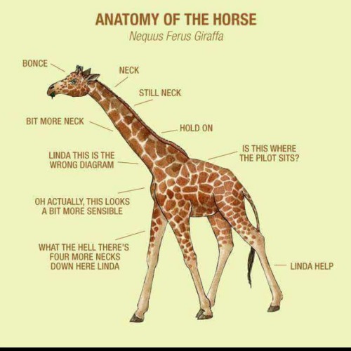 badsciencejokes:Linda, please!