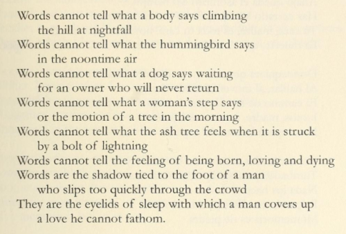 Homero Aridjis, ‘Words Cannot Tell’ (trans. George McWhirter), Ojos, de Otro Mirar / Eyes to See Oth