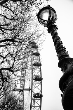 northskyphotography:  South Bank by North