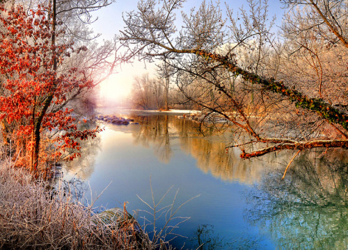 djferreira224:Alsace, France ~ Jean-Michel Priaux