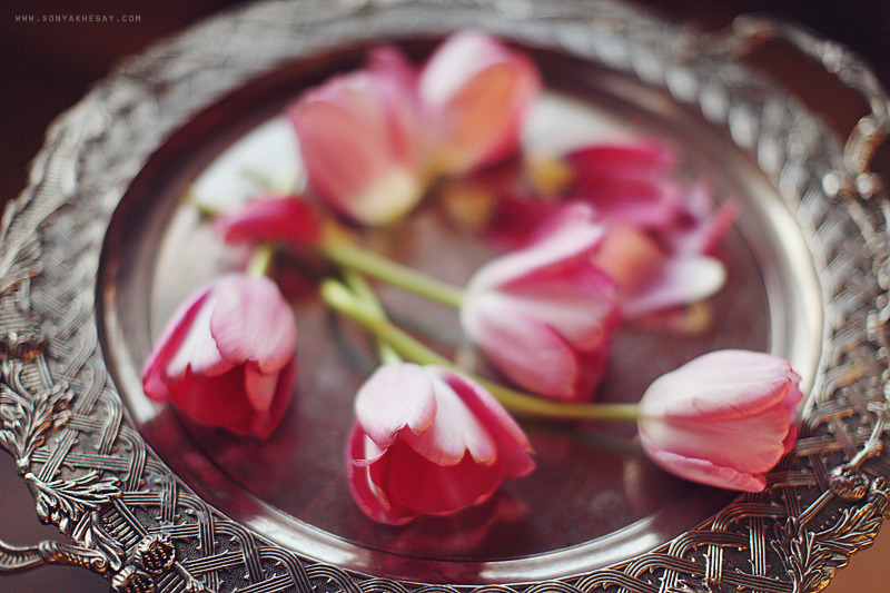 sonyakhegay:  by Sonya Khegay 