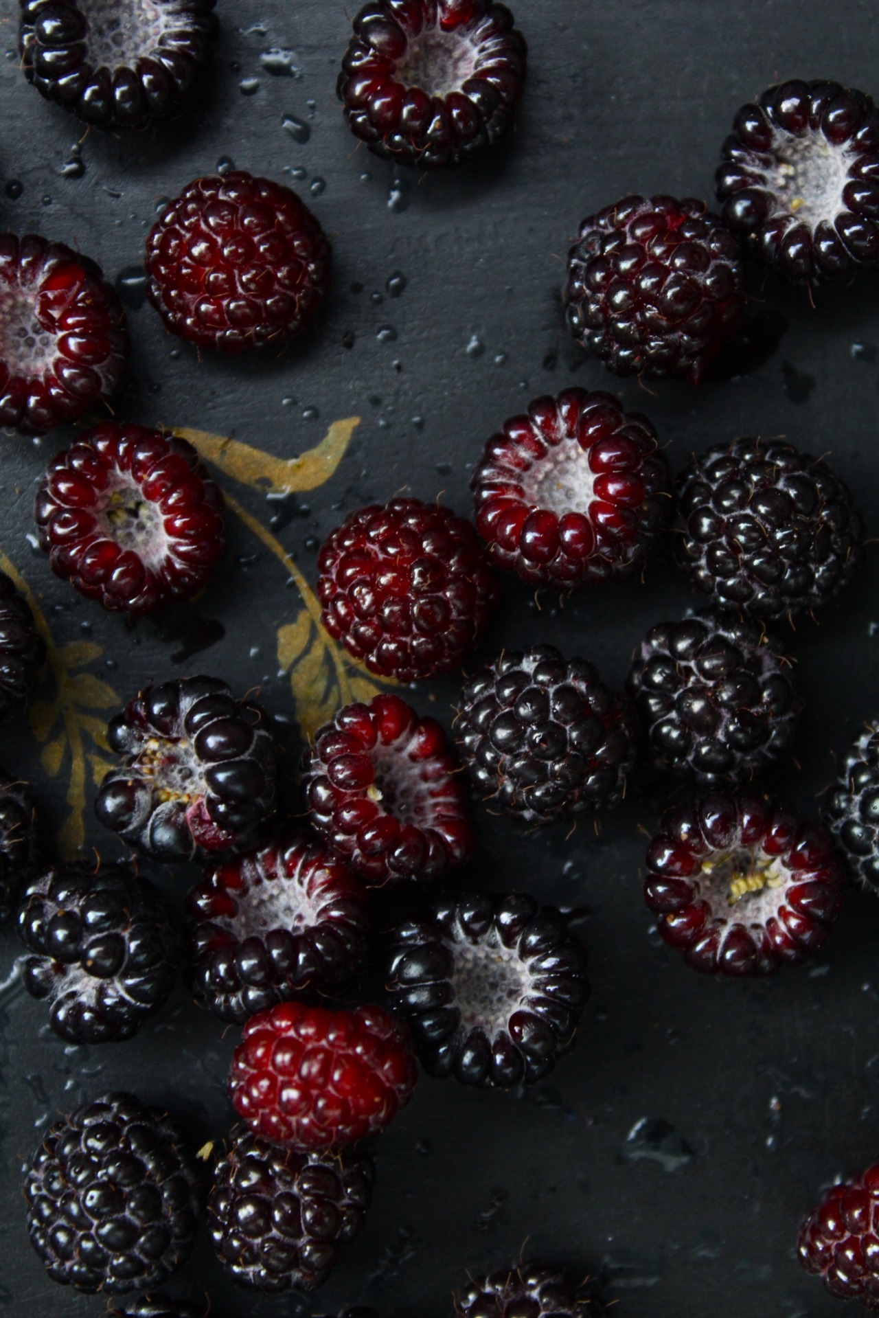 vmburkhardt:  “The blacker the berry the sweeter the juice.” – Proverb | Nora