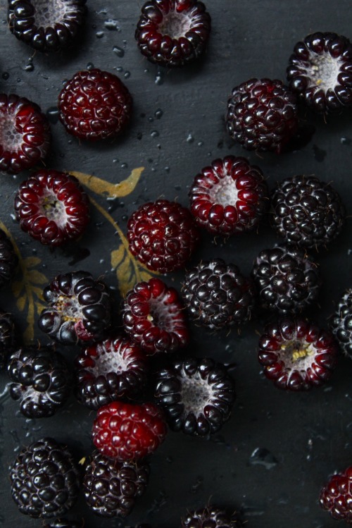 Porn photo vmburkhardt:  “The blacker the berry the