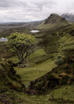 pagewoman:  Isle of Skye by stephane (montreal) on Flickr