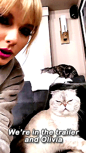 swiftsgif:Taylor Swift’s Instagram Story (5.1.19)