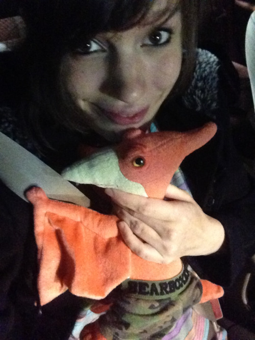 misspandapants: Road trips are only fun if you can cuddle a stuffed friend to pass the time. Is that