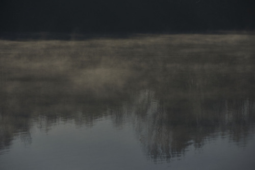 morning mist at the lake