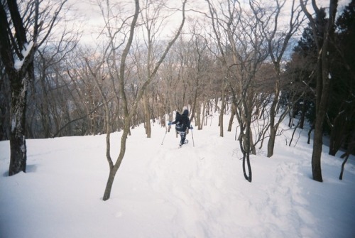 mt.fujiwara feb 15,2017