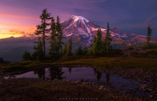 love:Mt. Rainier, Washington by Protik Hossain