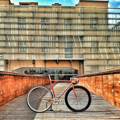 nitido-multidimensional: #fijo #fixed #fixie #fixedgear #fixiebike #fixieporn #fixedfaith #fixieshou