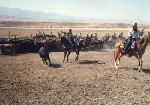 garrettfuckingkoval:1980 Cuyama California Rodeo. 