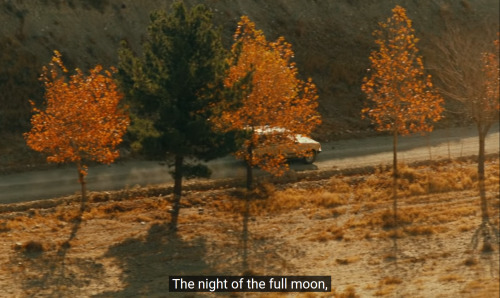 Taste of Cherry (1997), dir. Abbas Kiarostami