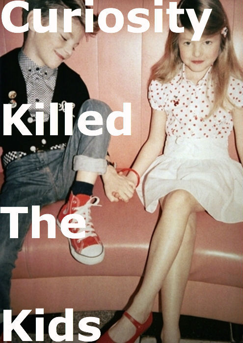 silly-luv:  ♡ find your best posts on my blog ♡