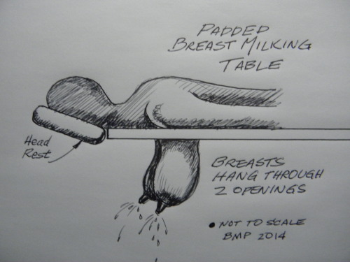 breastmilkprof-milky-macromastia: Padded Breast Milking Table allows for large breasts to hang throu