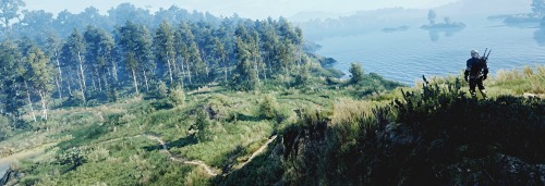 places-in-games - The Witcher 3 - Forest Landscape