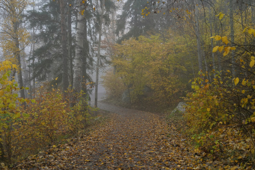 swedishlandscapes:Late october autumn scenery.