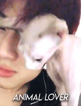 choiyoungjae:[180702] happy birthday to our bambam! ;; there are so many different sides of you to s