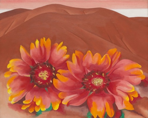 Red Hills with Flowers, Georgia O'Keeffe, 1937, Art Institute of Chicago: American ArtFascinated by 